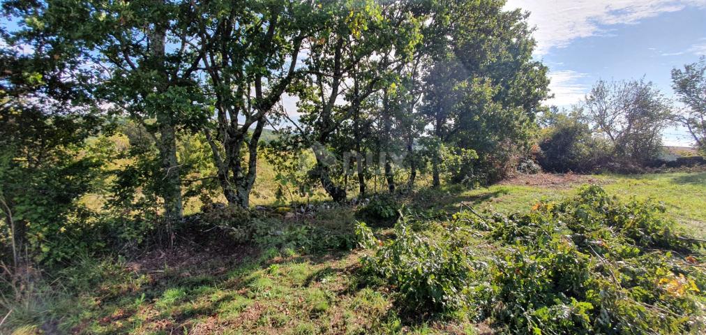 ISTRIEN, GRAČIŠĆE – Grundstückskomplex in bester Lage mit schöner Aussicht