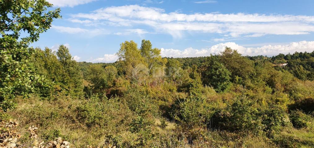 ISTRIEN, GRAČIŠĆE – Grundstückskomplex in bester Lage mit schöner Aussicht