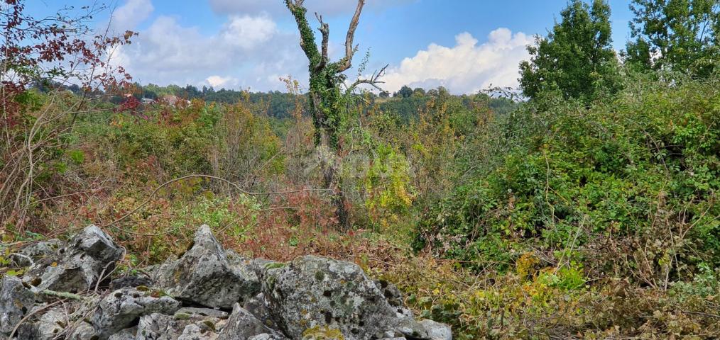 ISTRIEN, GRAČIŠĆE – Grundstückskomplex in bester Lage mit schöner Aussicht