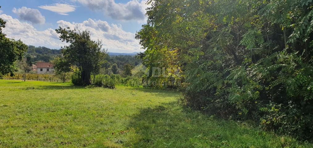 ISTRIEN, GRAČIŠĆE – Grundstückskomplex in bester Lage mit schöner Aussicht