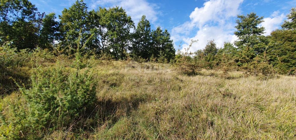 ISTRIEN, GRAČIŠĆE – Grundstückskomplex in bester Lage mit schöner Aussicht