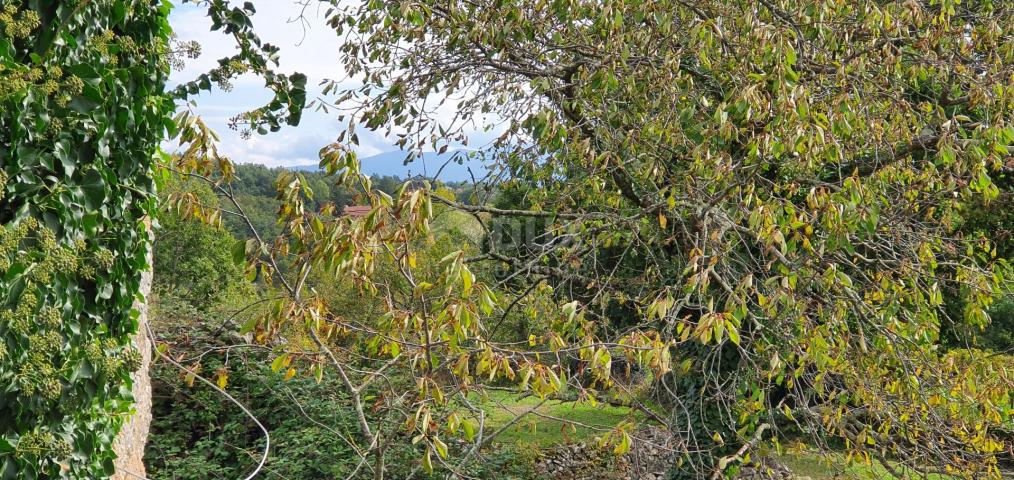 ISTRIEN, GRAČIŠĆE – Grundstückskomplex in bester Lage mit schöner Aussicht