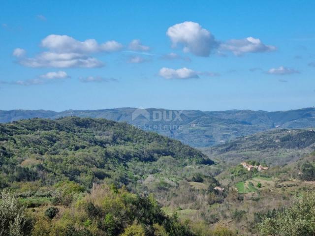 ISTRA, BUZET - Imanje s 4 stambena objekta i jednim poslovno-stambenim objektom, otvoreni pogled na 