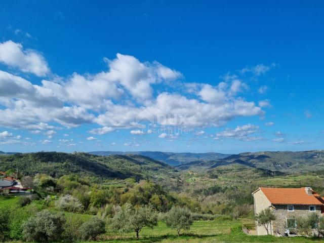 ISTRA, BUZET - Imanje s 4 stambena objekta i jednim poslovno-stambenim objektom, otvoreni pogled na 