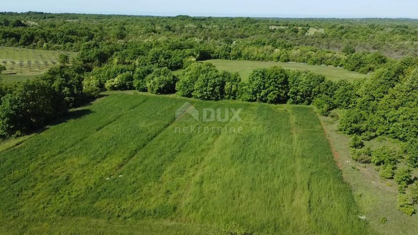  ISTRA, SVETVINČENAT Prizemnica s pogledom na zelenilo!