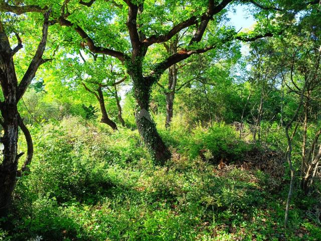 ISTRIA, PEROJ Large weekend green area 200 m from the beach