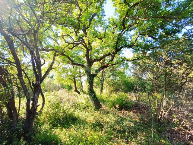 ISTRIA, PEROJ Large weekend green area 200 m from the beach