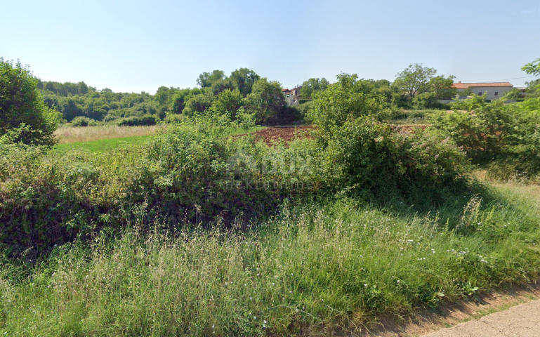 ISTRIEN, SVETI LOVREČ – Grundstück am Rande der Bauzone, auf drei Seiten von unberührter Natur umgeb