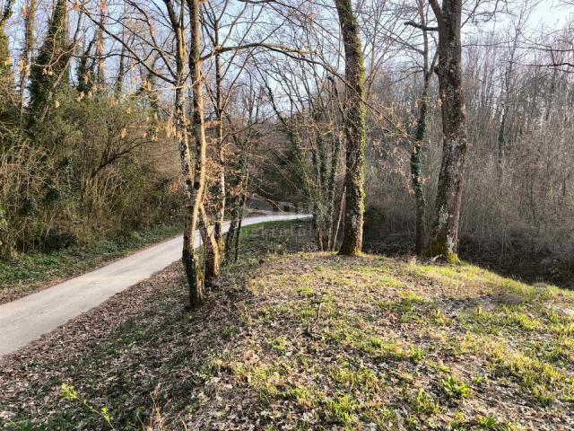 ISTRIA, PAZIN - Building land in a quiet settlement