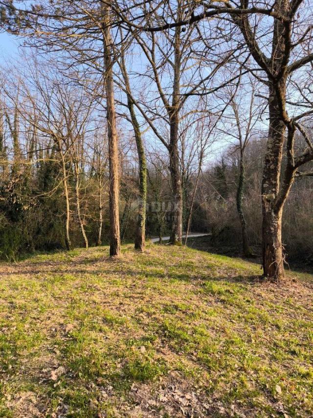 ISTRIA, PAZIN - Building land in a quiet settlement