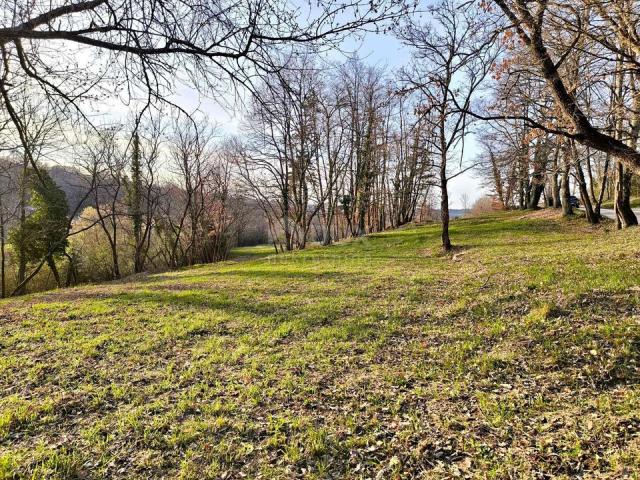 ISTRIA, PAZIN - Building land in a quiet settlement