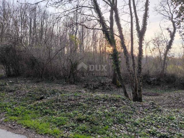 ISTRIA, PAZIN - Building land in a quiet settlement