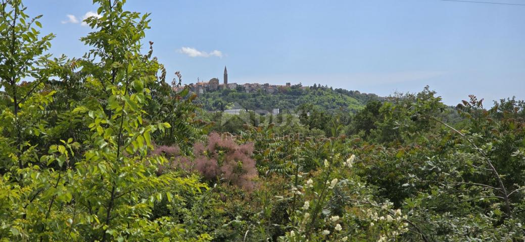 ISTRIA, BUJE - Building plot with permission for two villas with swimming pool, beautiful sea view