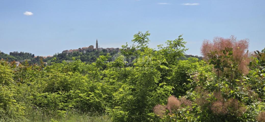 ISTRA, BUJE - Građevinsko zemljište s dozvolom za dvije vile s bazenom, prekrasan pogled na more