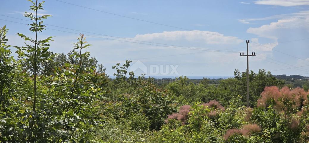 ISTRIA, BUJE - Building plot with permission for two villas with swimming pool, beautiful sea view