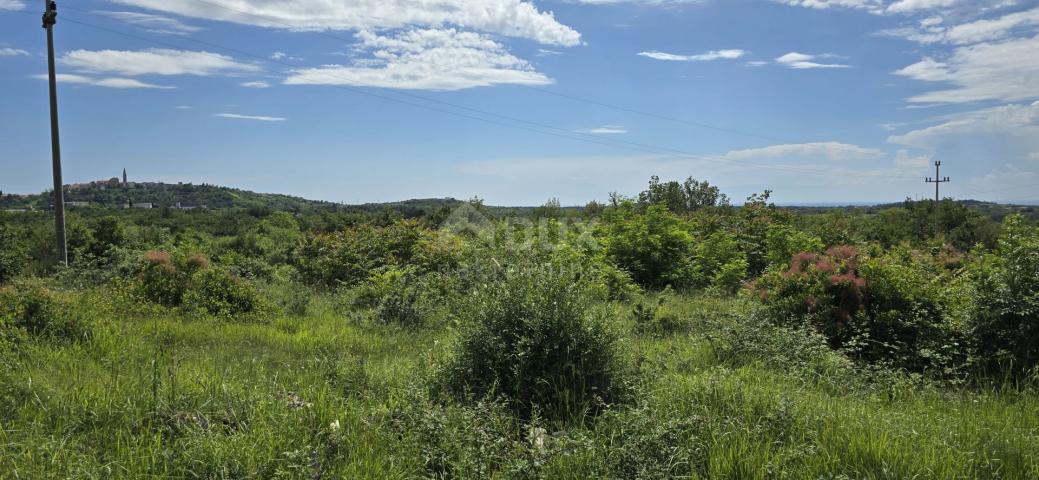 ISTRIA, BUJE - Building plot with permission for two villas with swimming pool, beautiful sea view