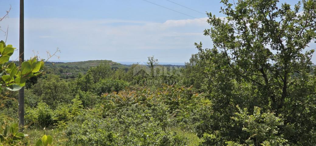 ISTRIA, BUJE - Building plot with permission for two villas with swimming pool, beautiful sea view