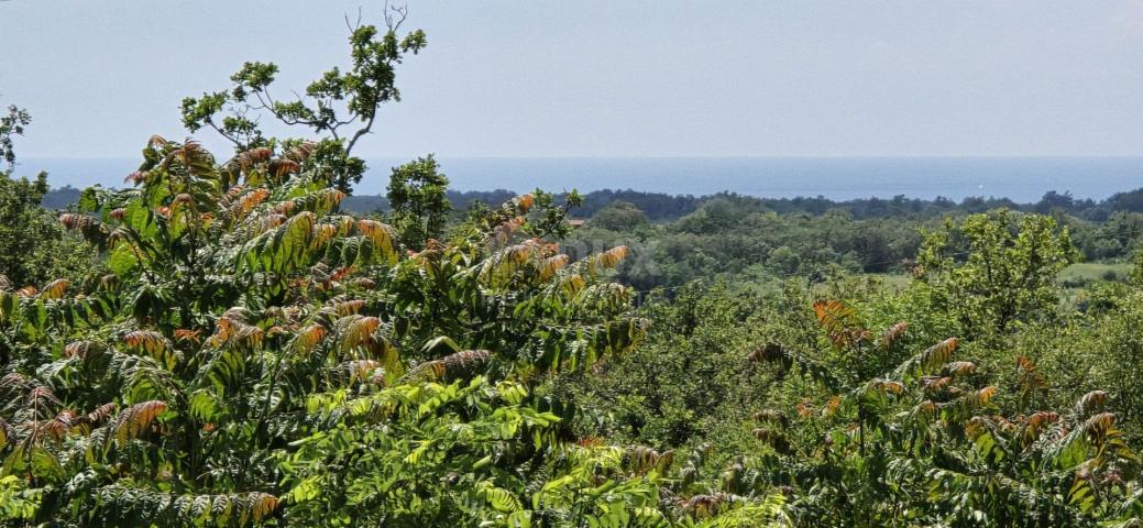 ISTRA, BUJE - Građevinsko zemljište s dozvolom za 5 vila s bazenom, prekrasan pogled na more