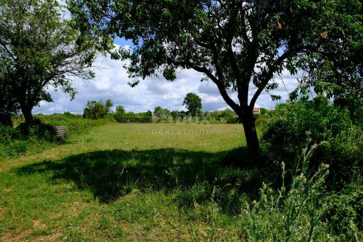 ZADAR, BENKOVAC - Building land in a natural environment