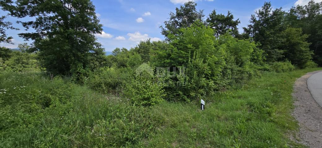 ISTRIEN, PIĆAN – Das letzte Baugrundstück in der Bauzone