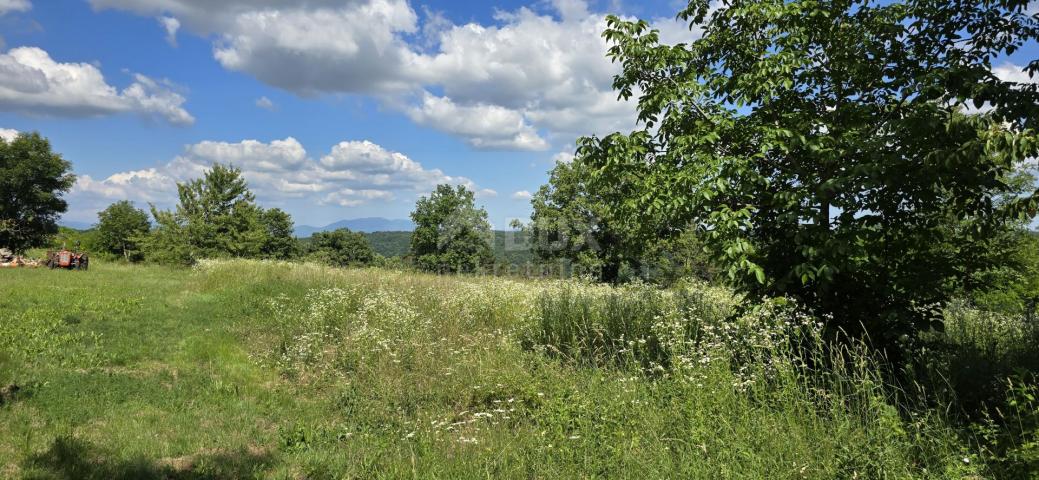 ISTRA, TINJAN - Građevinsko zemljište pogodno za naselje od 6 vila