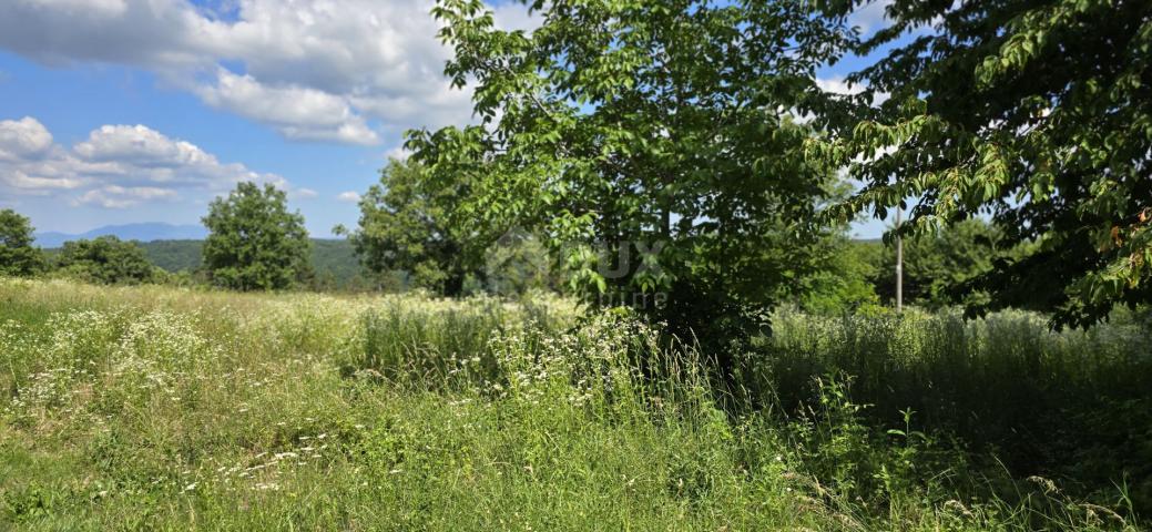 ISTRA, TINJAN - Građevinsko zemljište pogodno za naselje od 6 vila