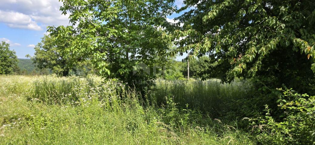 ISTRIEN, TINJAN - Bauland geeignet für eine Siedlung mit 6 Villen