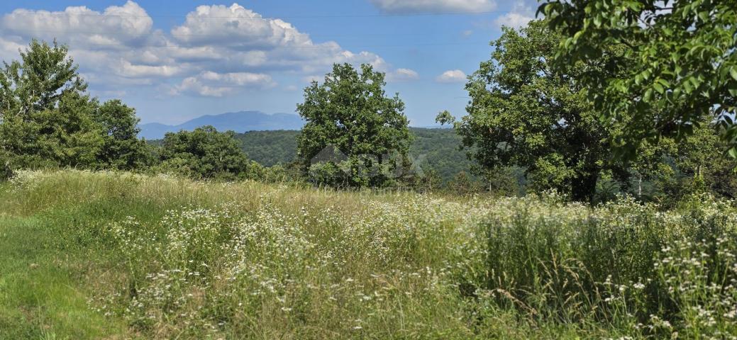 ISTRIEN, TINJAN - Bauland geeignet für eine Siedlung mit 6 Villen