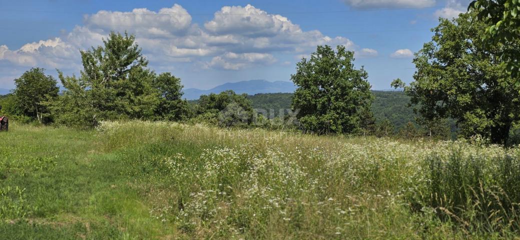 ISTRIEN, TINJAN - Bauland geeignet für eine Siedlung mit 6 Villen