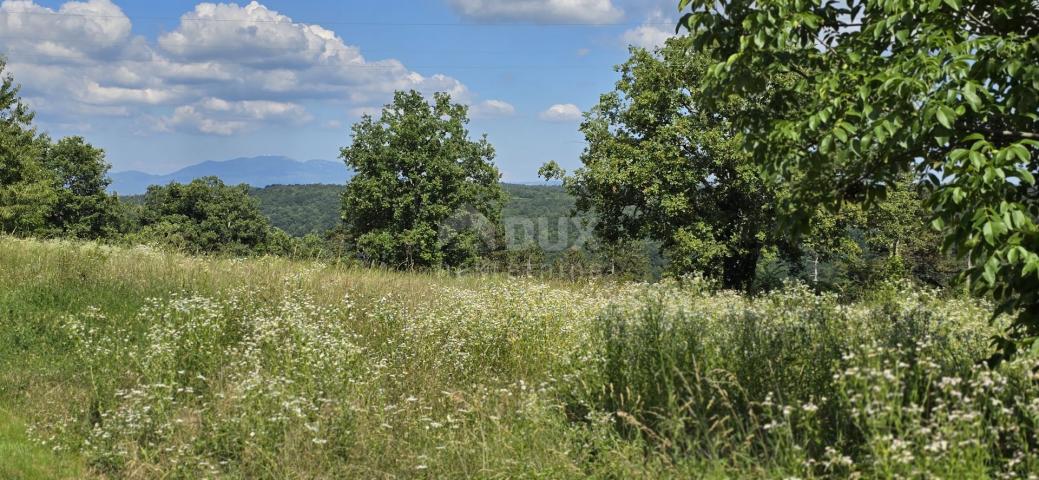 ISTRA, TINJAN - Građevinsko zemljište pogodno za naselje od 6 vila