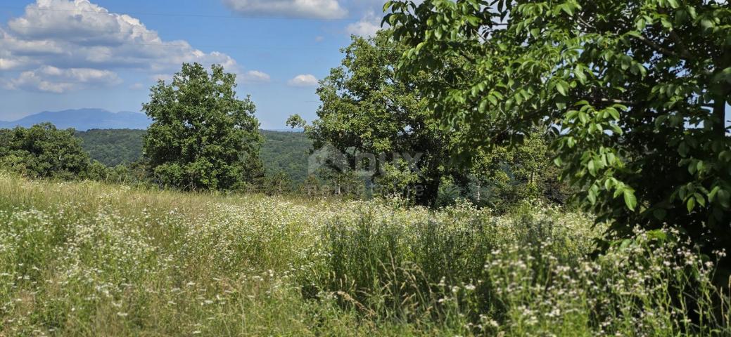 ISTRIEN, TINJAN - Bauland geeignet für eine Siedlung mit 6 Villen