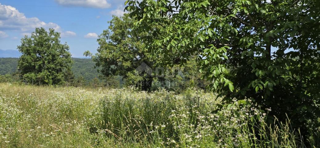 ISTRIEN, TINJAN - Bauland geeignet für eine Siedlung mit 6 Villen