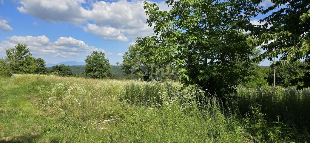 ISTRIEN, TINJAN - Bauland geeignet für eine Siedlung mit 6 Villen