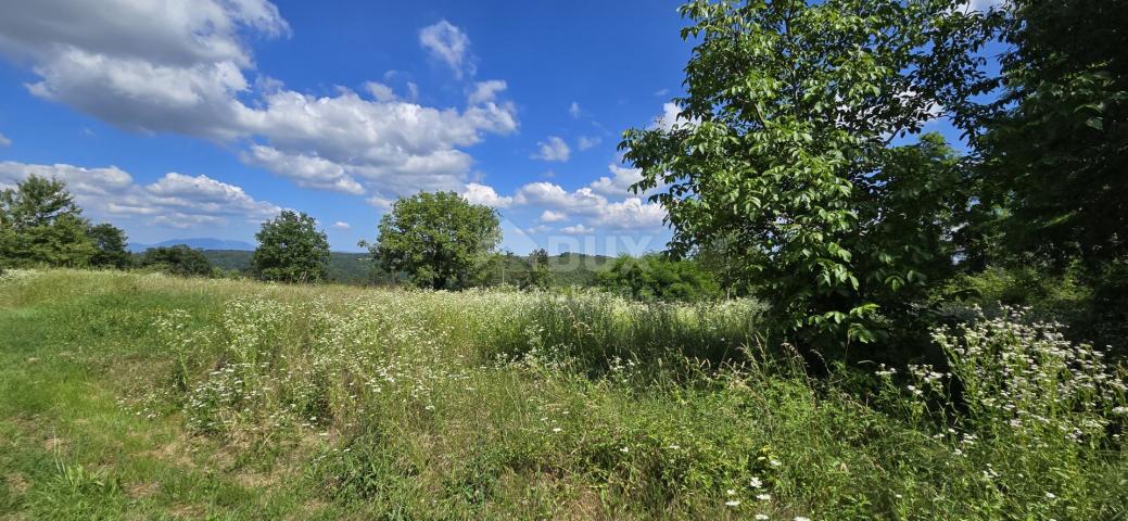 ISTRA, TINJAN - Građevinsko zemljište pogodno za naselje od 6 vila