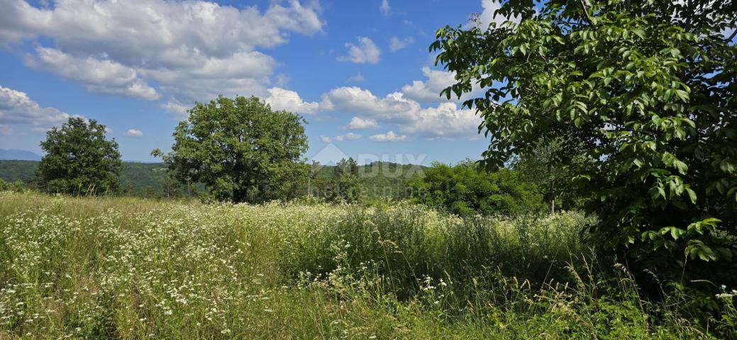 ISTRA, TINJAN - Građevinsko zemljište pogodno za naselje od 6 vila