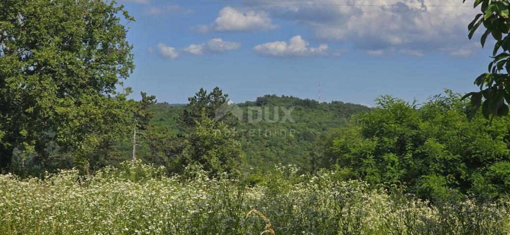 ISTRA, TINJAN - Građevinsko zemljište pogodno za naselje od 6 vila