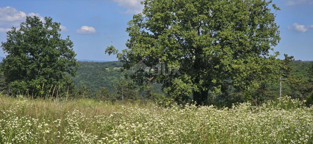 ISTRA, TINJAN - Građevinsko zemljište pogodno za naselje od 6 vila