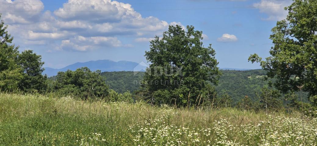 ISTRA, TINJAN - Građevinsko zemljište pogodno za naselje od 6 vila