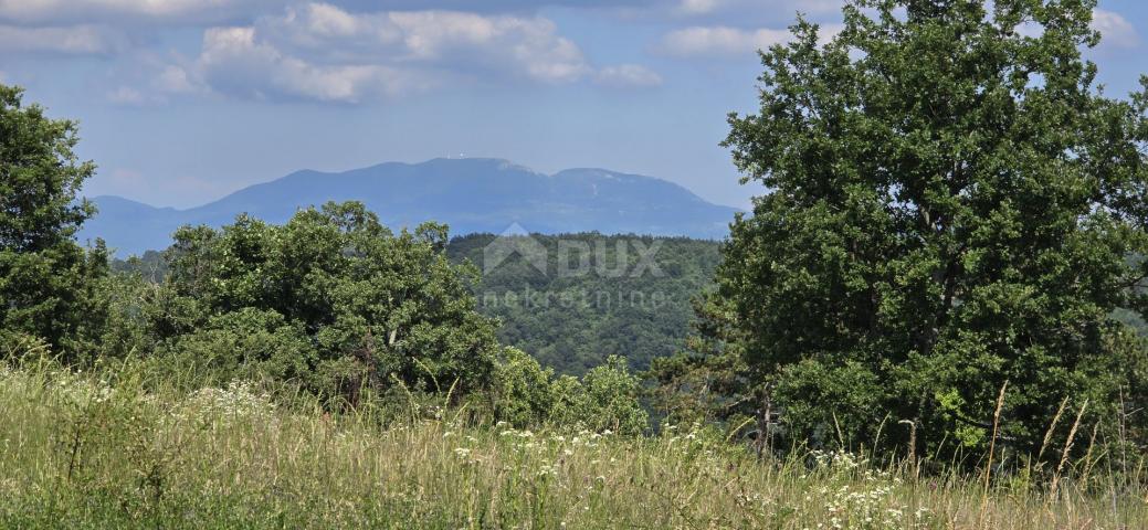 ISTRA, TINJAN - Građevinsko zemljište pogodno za naselje od 6 vila