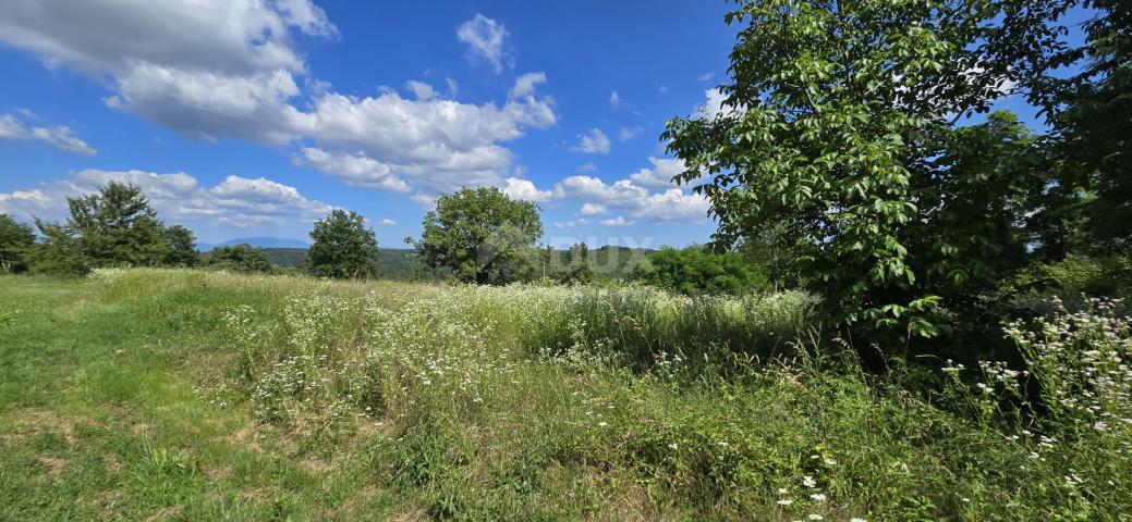 ISTRA, TINJAN - Građevinsko zemljište pogodno za naselje od 6 vila