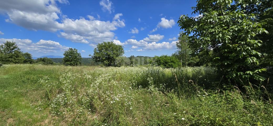 ISTRA, TINJAN - Građevinsko zemljište pogodno za naselje od 6 vila