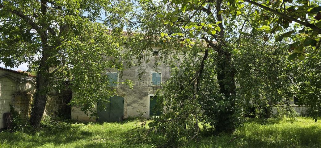 ISTRIEN, SVETVINČENAT - Steinhaus mit großem Garten