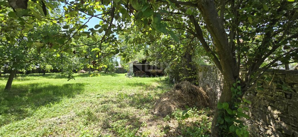 ISTRIEN, SVETVINČENAT - Steinhaus mit großem Garten