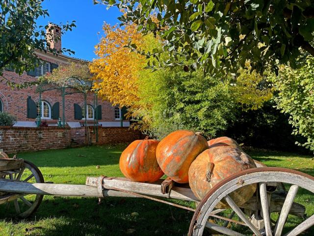 ISTRIEN, KANFANAR - Wunderschöne, luxuriöse Villa