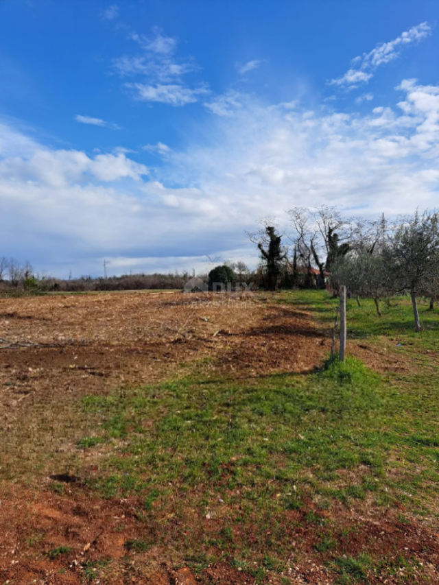 ISTRIA, UMAG - Mixed-use land 500 meters from the sea