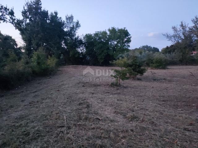 ISTRIA, JURŠIĆ! building land