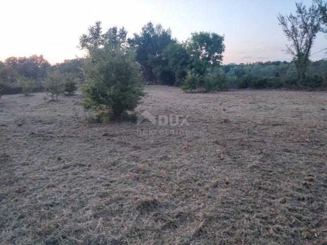 ISTRIA, JURŠIĆ! building land