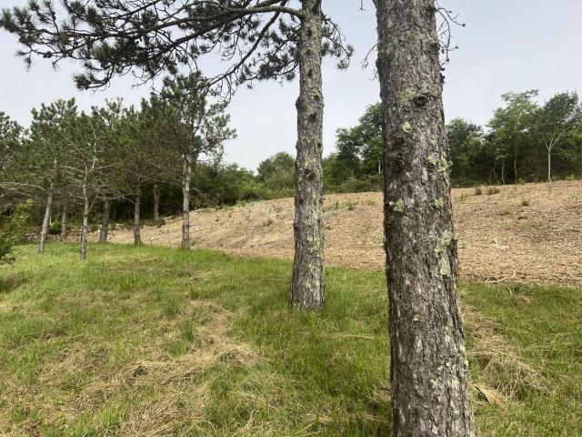 ISTRIA, KRŠAN - Building plot with a view