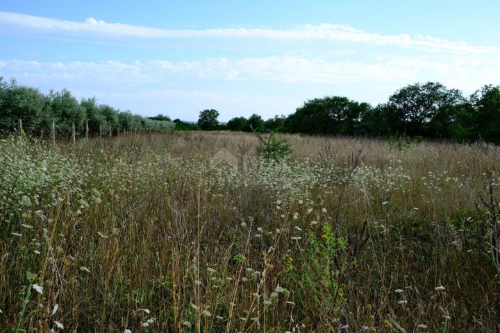 ZADAR, MURVICA – Ideales Baugrundstück in einer natürlichen Umgebung in Murvica