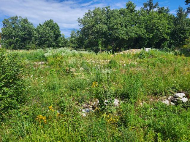 ISTRIEN, GROŽNJAN - Baugrundstück mit Projekt